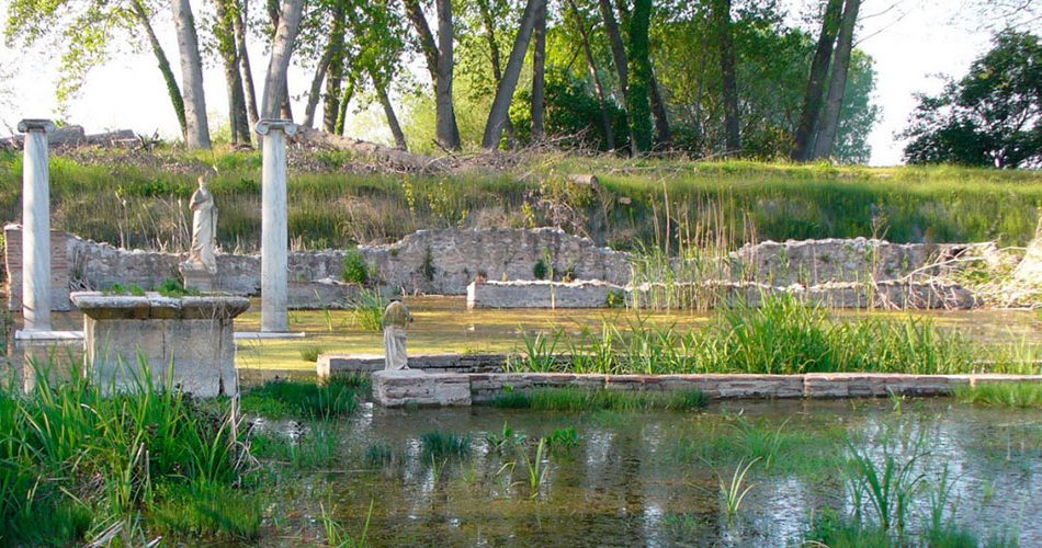 ΔΙΟΝ (1)