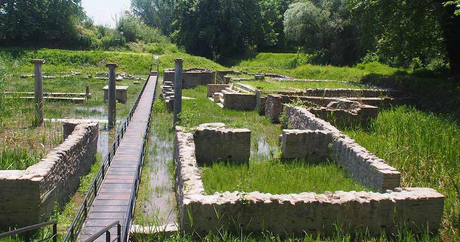 ΔΙΟΝ(3)